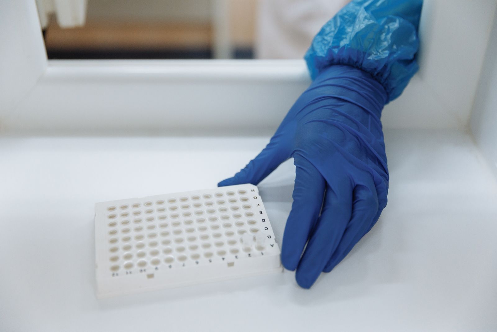 Lab worker in blue nitrile gloves placing a white sample tray on a laboratory pass-through counter